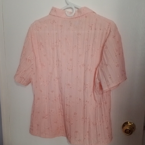Pink Short Sleeve Button-Up Blouse - Picture 5 of 6